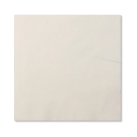 Tovaglioli Bianchi 2 veli compostabili  33X33cm, 20pz.