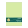 Tovaglia in plastica 137x274cm Verde mela – monouso 1pz