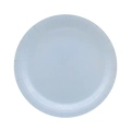 Piatti in carta Celeste Chiaro 24cm – Confezione da 15 pezzi
