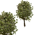 Foglie artificiali di edera variegata gialla e verde, 12pz.