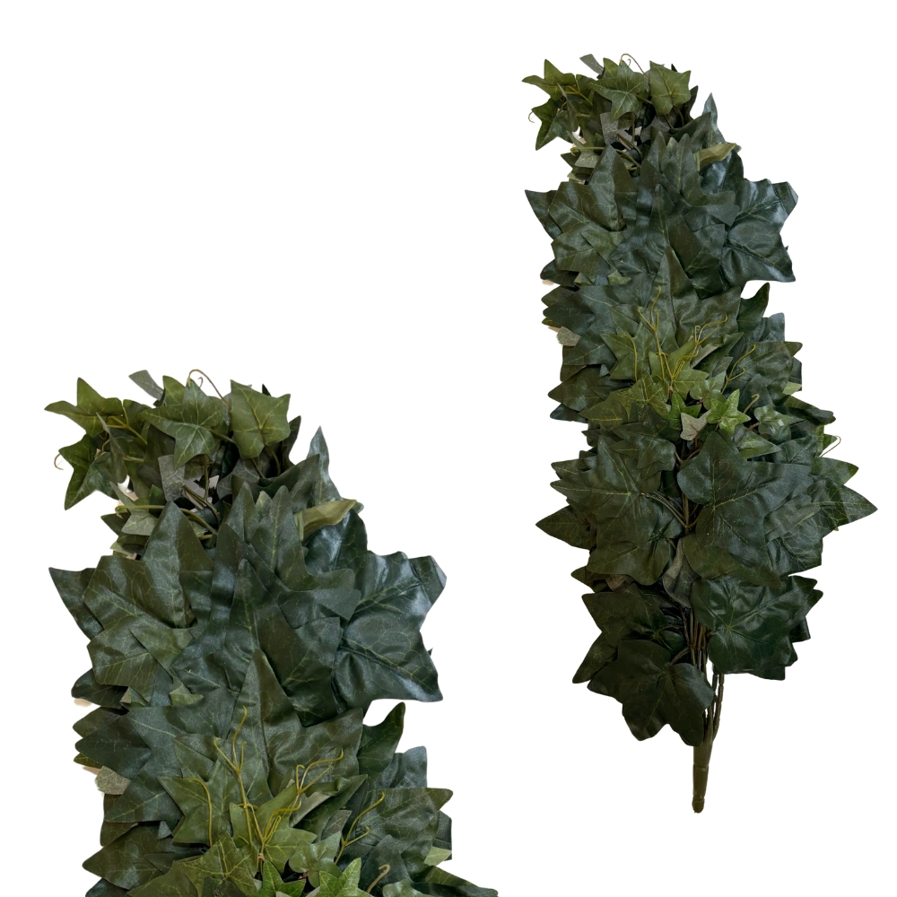 CADENTI 138 VERDI 1 FASCIO